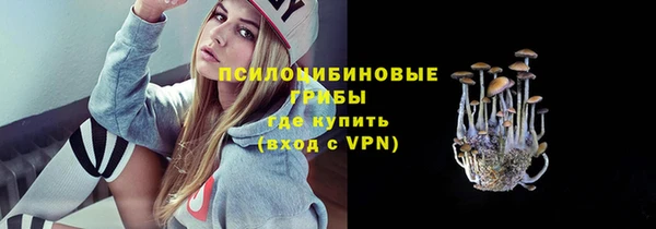 бутират Богородицк