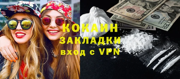 прущие грибы Богородск