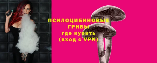 бутират Богородицк