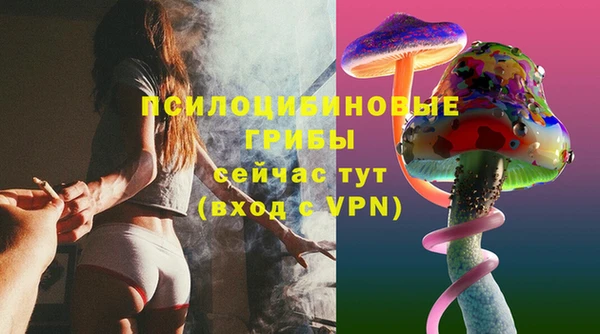 COCAINE Богданович