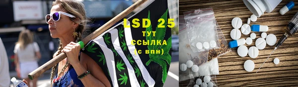 прущие грибы Богородск
