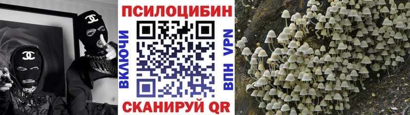 ссылка на мегу ТОР  Кизляр  Псилоцибиновые грибы Magic Shrooms 